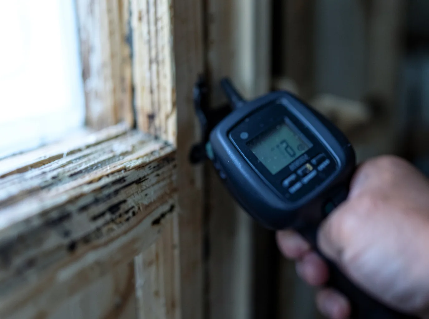 Moisture Inspection And Documentation in Ponce De Leon, MO